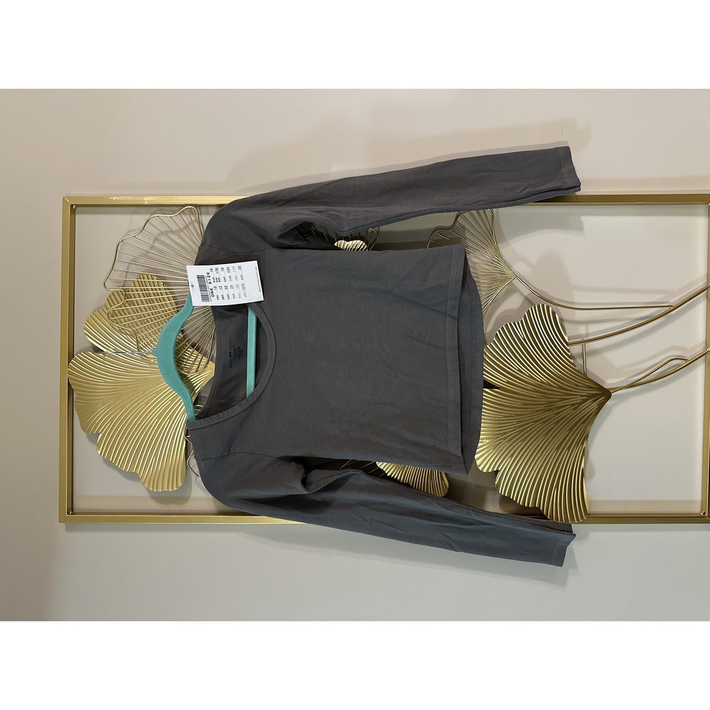 Brandy Melville Long Sleeve Crop Top